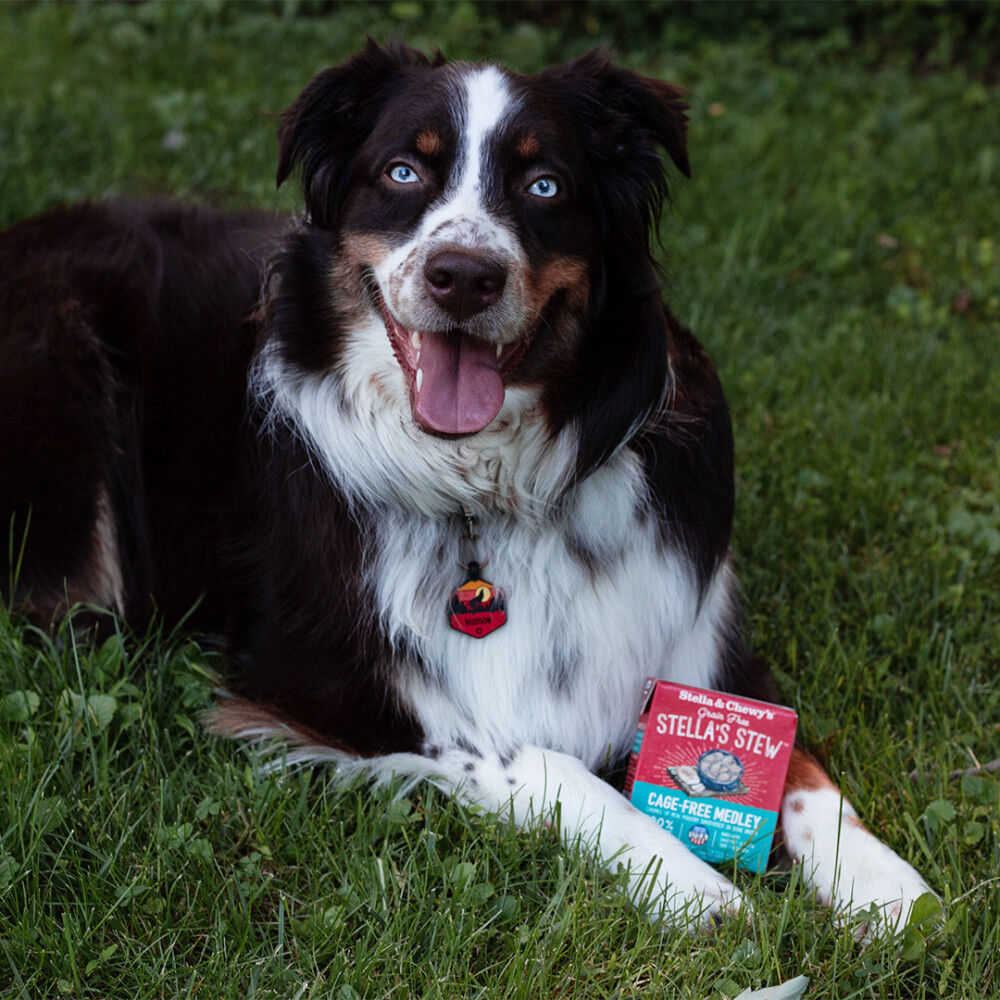 Mud Bay Buy Stella Chewy s Stella s Stew Wet Dog Food Grass