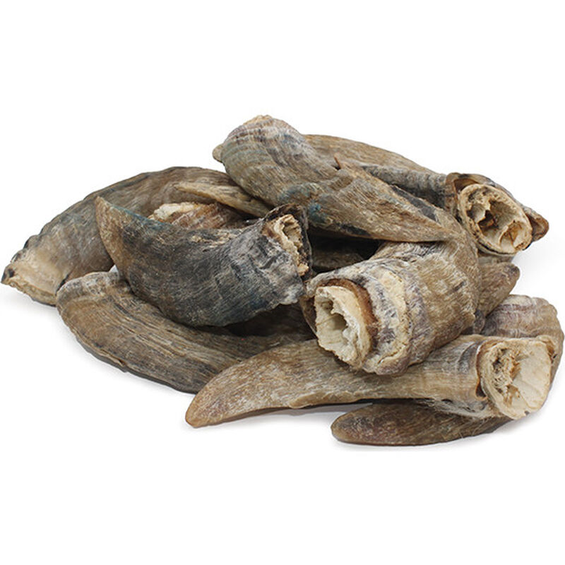 Icelandic+ Small Lamb Horn With Marrow Dog Treat, Small , 4-4.7in