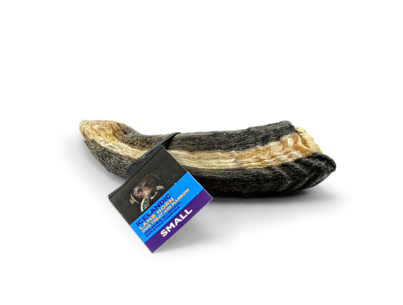 Icelandic+ Small Lamb Horn With Marrow Dog Treat, Small , 4-4.7in