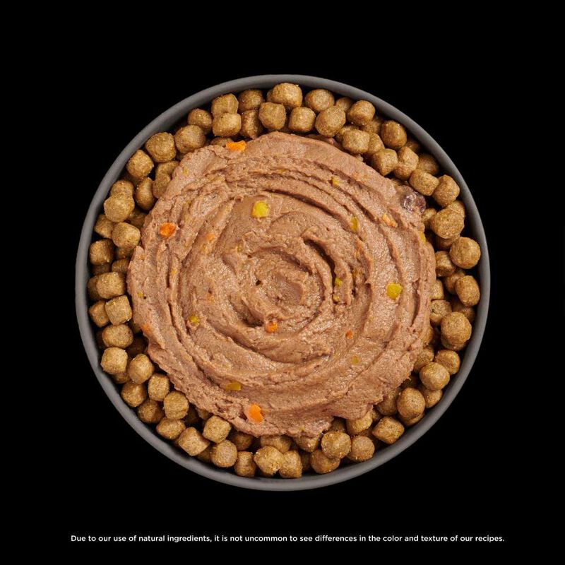 Go! Solutions Booster Wet Cat Food Topper, Immune Health, Tuna Pate, 2.5-oz image number null