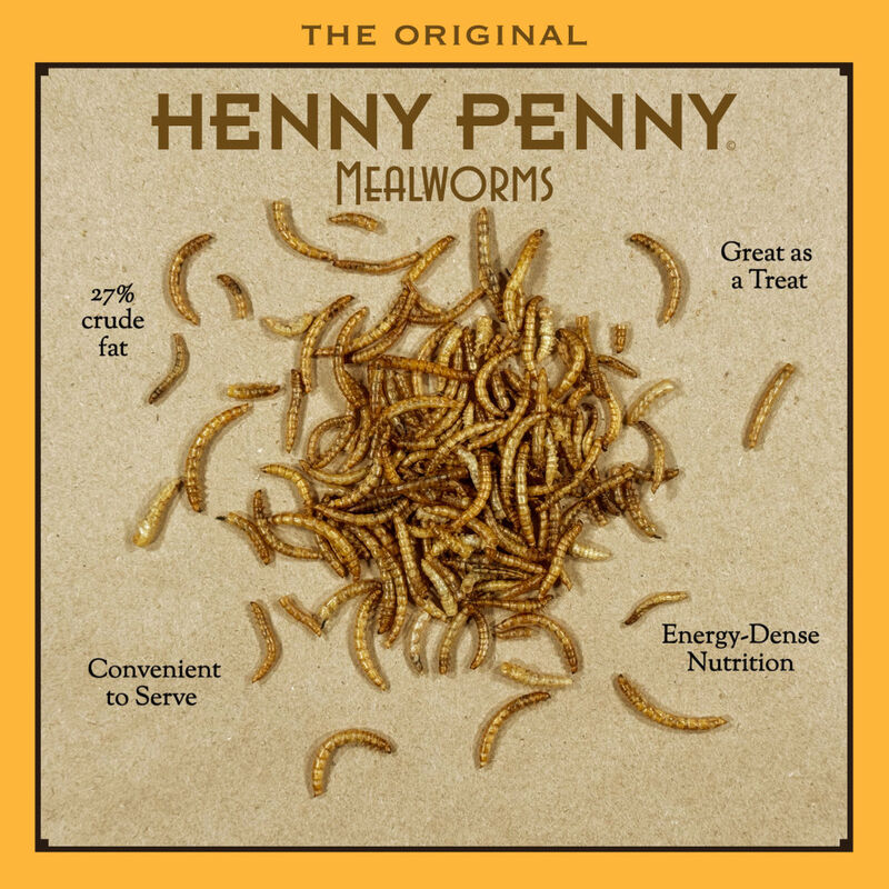 Henny Penny Mealworm Chicken Treats, 10-oz image number null