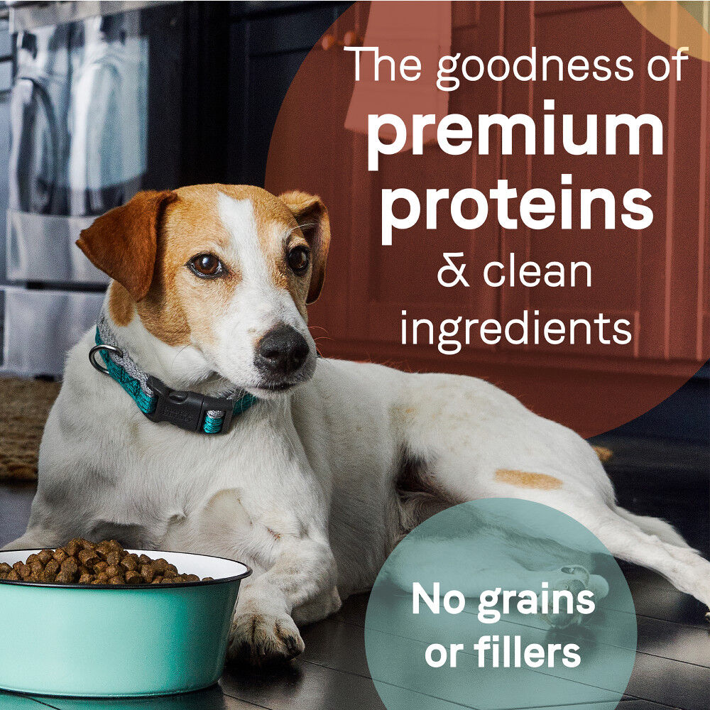 Mud Bay Buy Canidae Pure Grain Free Dry Dog Food Lamb Sweet