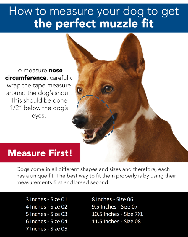 Best fit mesh muzzle top