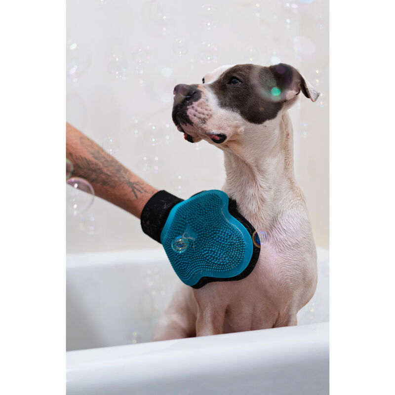 Messy Mutts Silicone Pet Grooming Glove, Blue image number null