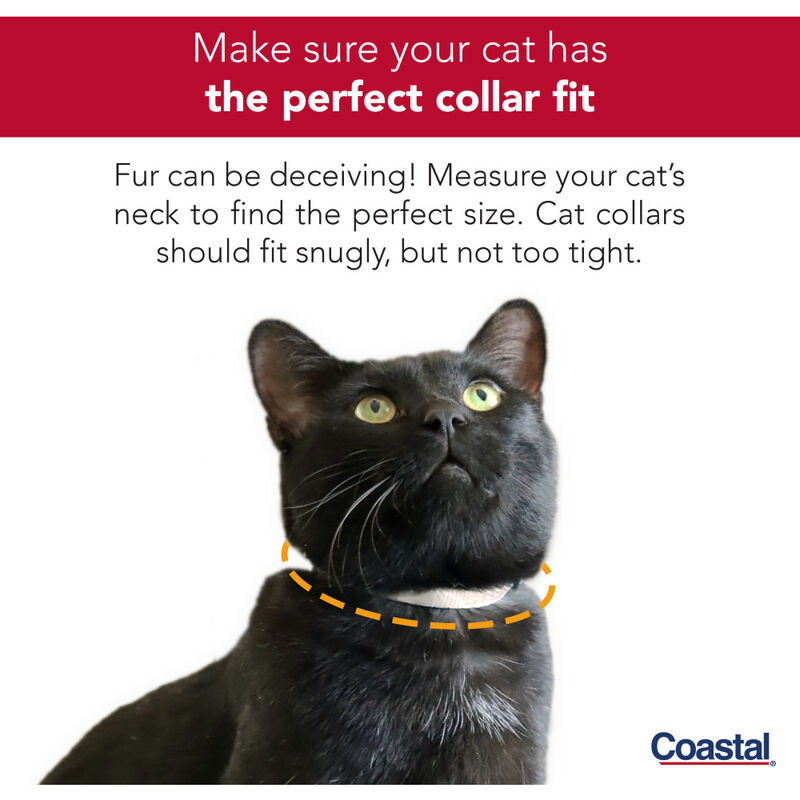 Coastal Lazer Brite Reflective Adjustable Breakaway Cat Collar, Purple Animal Print image number null
