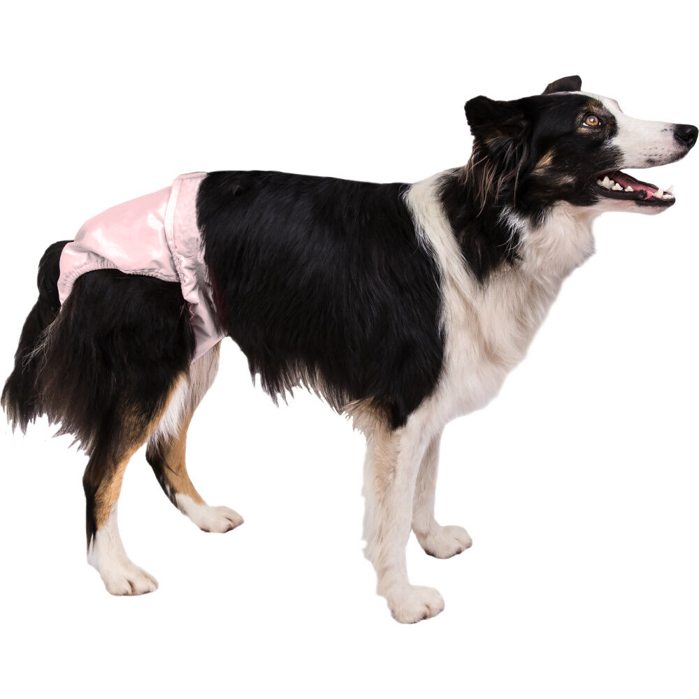 Poochpads deals