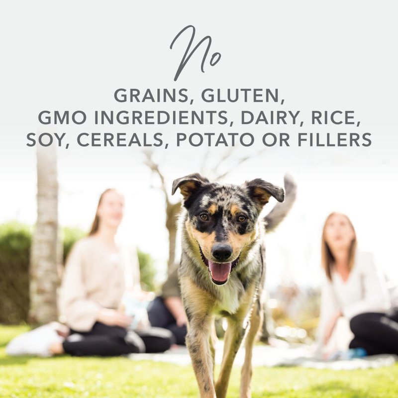 K9 Natural Freeze-Dried Dog Food, Lamb image number null