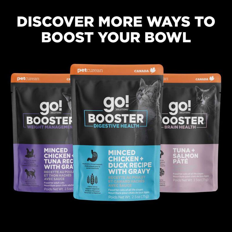 Go! Solutions Booster Wet Cat Food Topper, Immune Health, Tuna Pate, 2.5-oz image number null