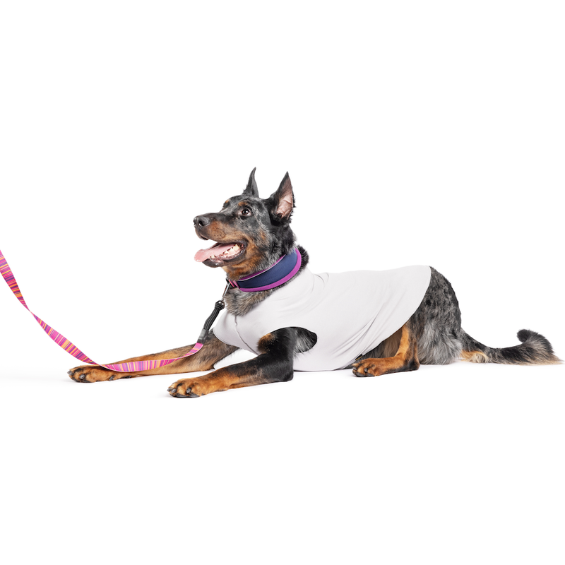 Buy Gold Paw Sun Shield Dog Tee, Pebble Grey, 22 for USD