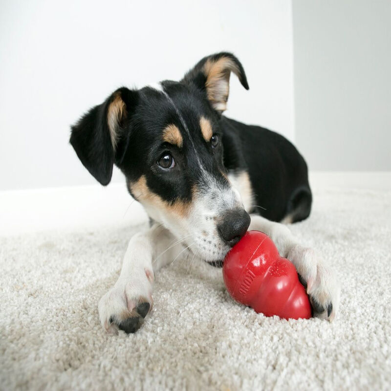 KONG Classic Rubber Dog Toy image number null