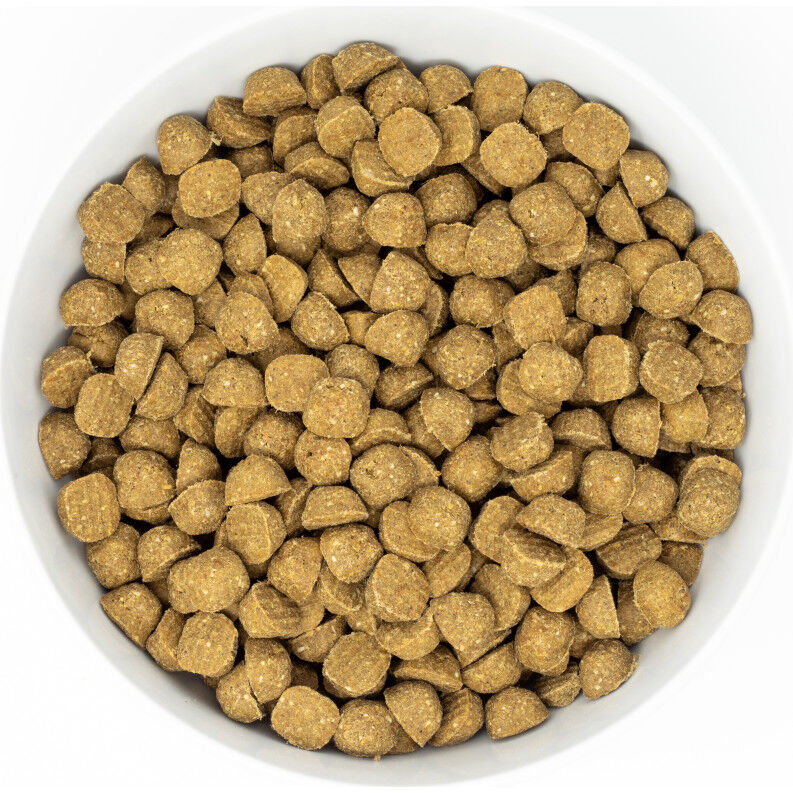 Stella raw coated kibble clearance
