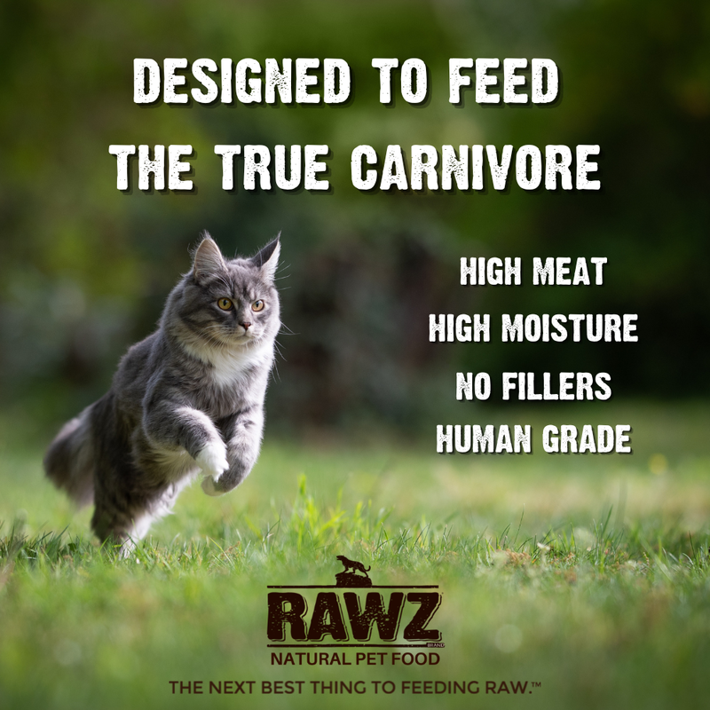 Rawz Shredded Wet Cat Food, Chicken Breast, Pumpkin & New Zealand Green Mussels, 2.46-oz image number null