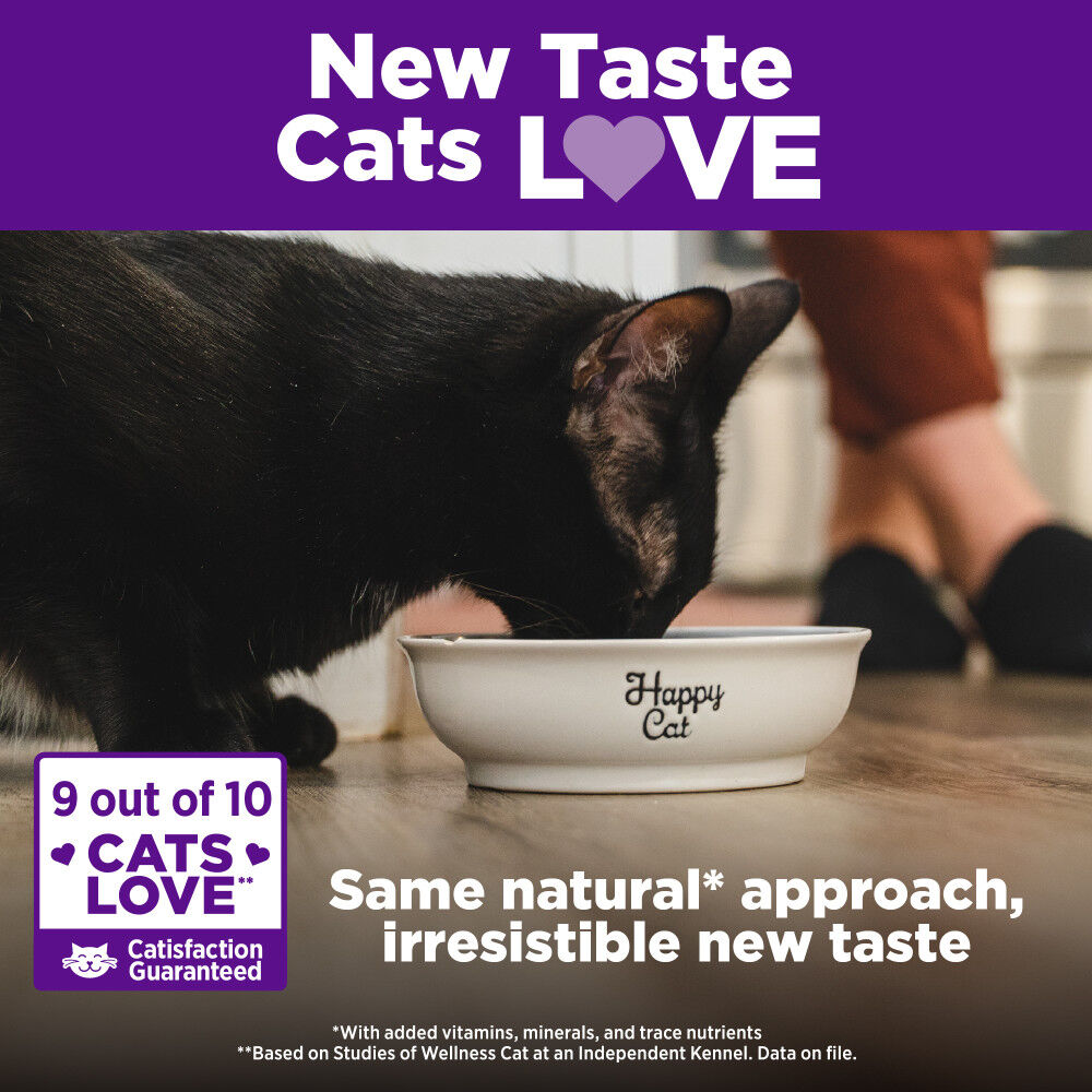 Wellness complete health grain free cat food 2025