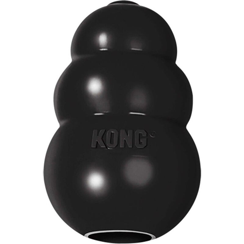 KONG Extreme Dog Toy, Large