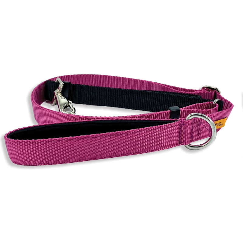 Service dog lead online