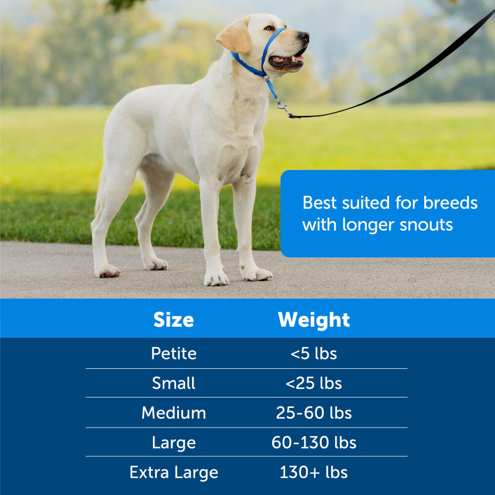 Mud Bay Buy PetSafe Gentle Leader Headcollar No Pull Dog Collar