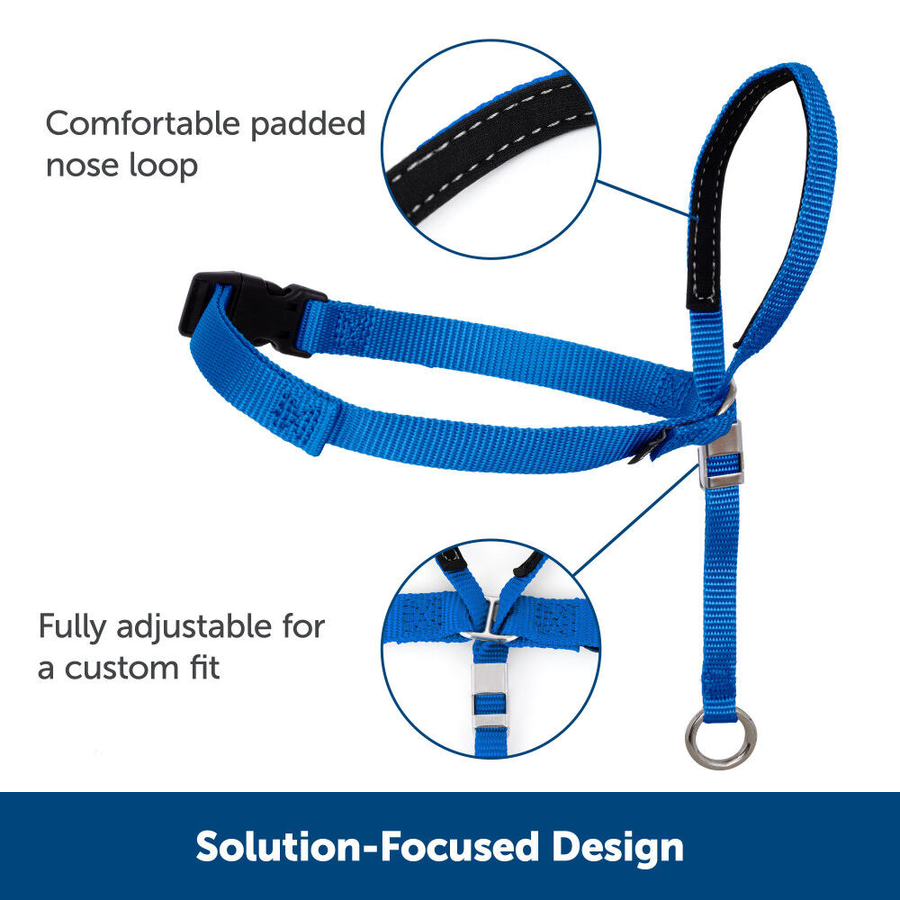 Petsafe gentle leader head store collar