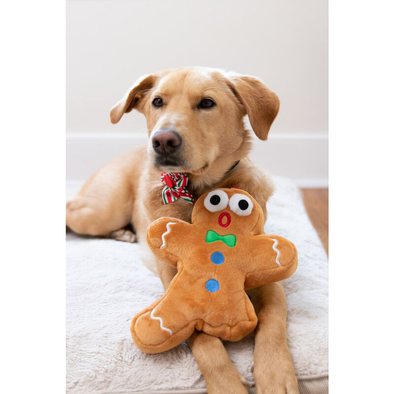 Huxley & Kent Holiday Power Plush Dog Toy, Ginger Snapped, 7-in image number null