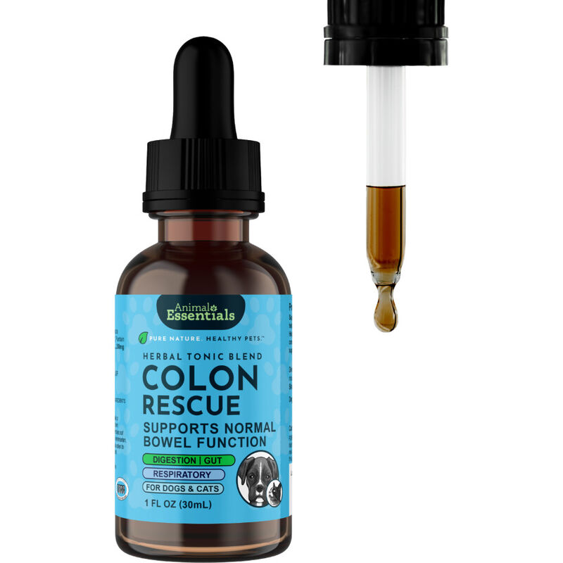 Animal Essentials Colon Rescue Herbal GI Support Dog & Cat Supplement, Liquid, 1-oz image number null