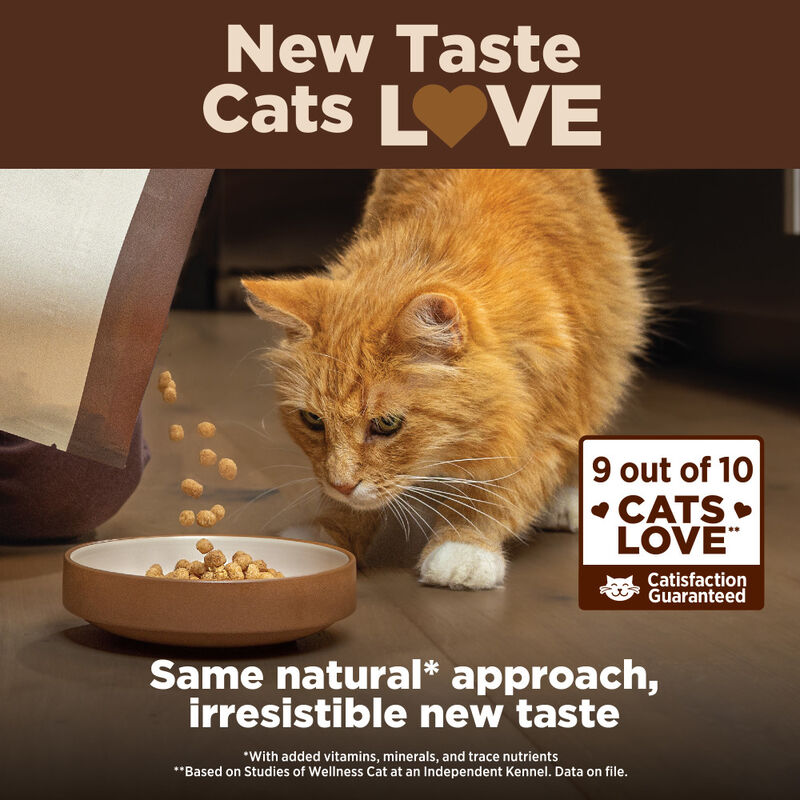 Wellness Core Grain-Free Dry Cat Food, Indoor, Chicken & Turkey image number null
