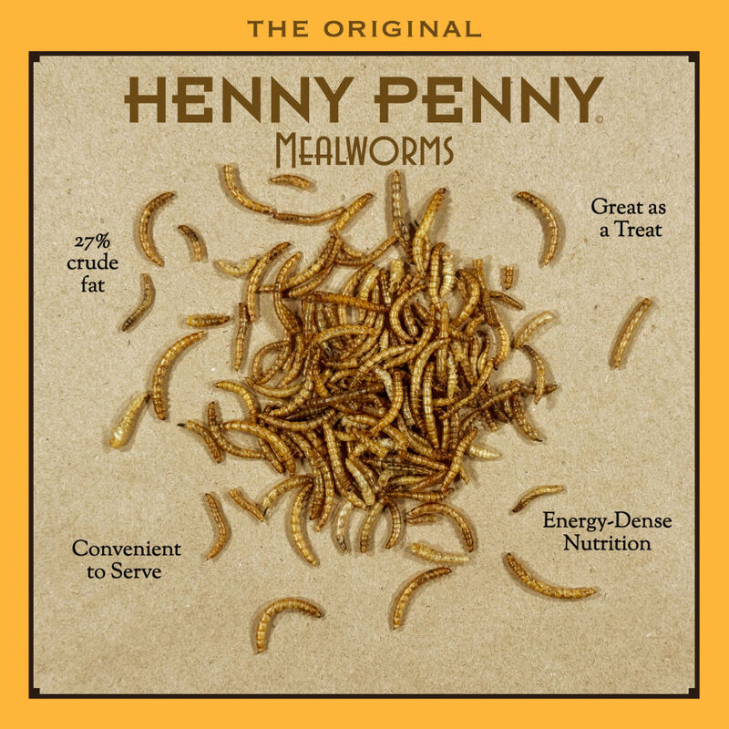 Henny Penny Mealworm Chicken Treats, 1.25-lb image number null
