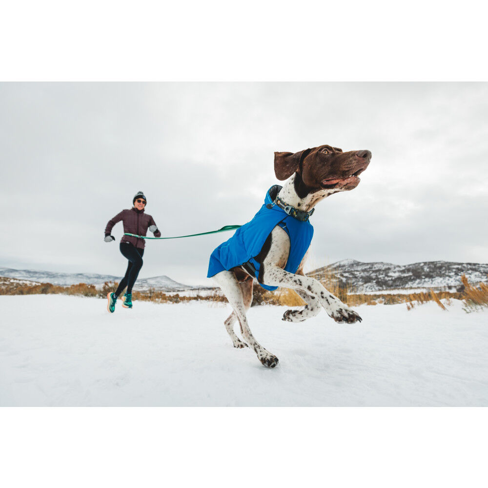 Ruffwear vert dog jacket cheap