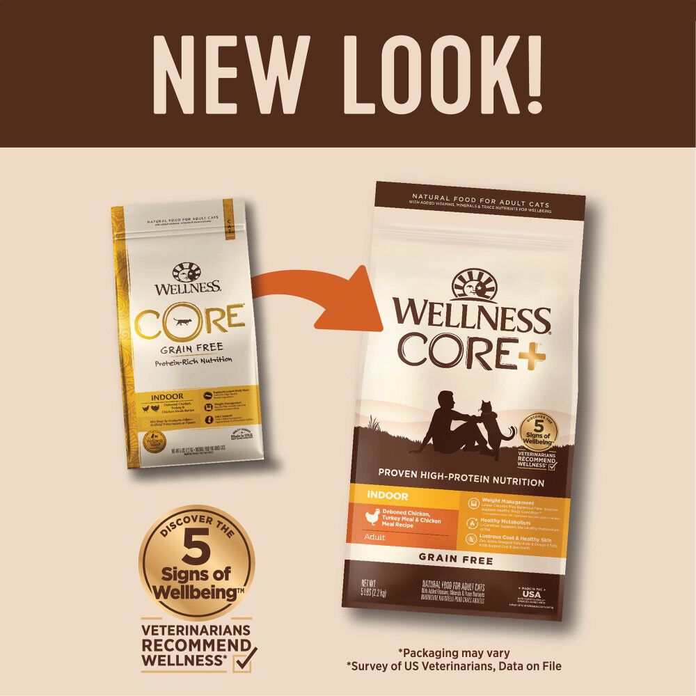 Wellness core cat food indoor outlet