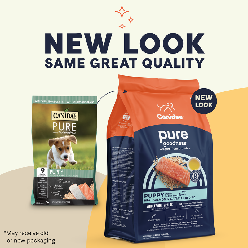 Canidae salmon dog food 24lb discount