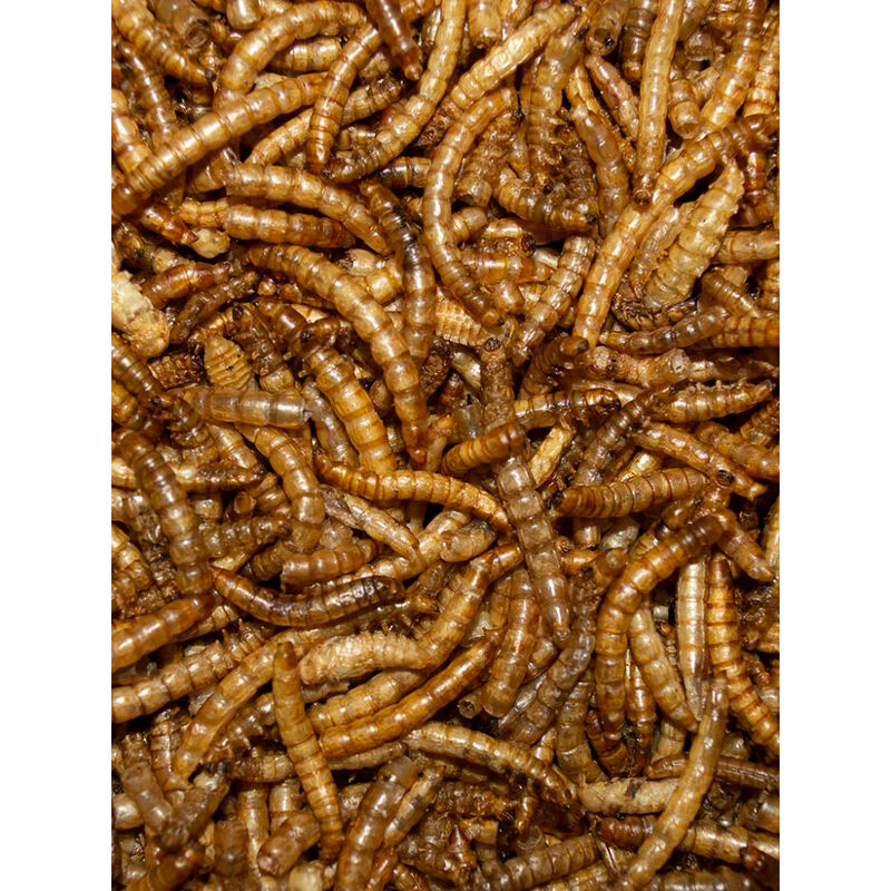 Henny Penny Mealworm Chicken Treats, 1.25-lb image number null