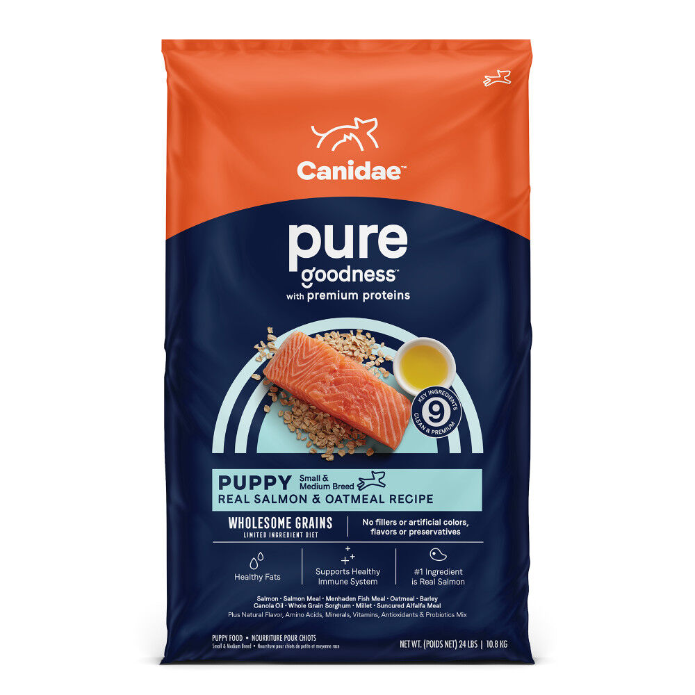 Canidae pure salmon sale