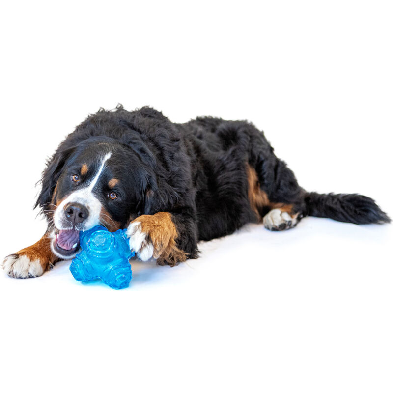 Guru Pet Company Puzzle Jack Dog Toy, Medium image number null