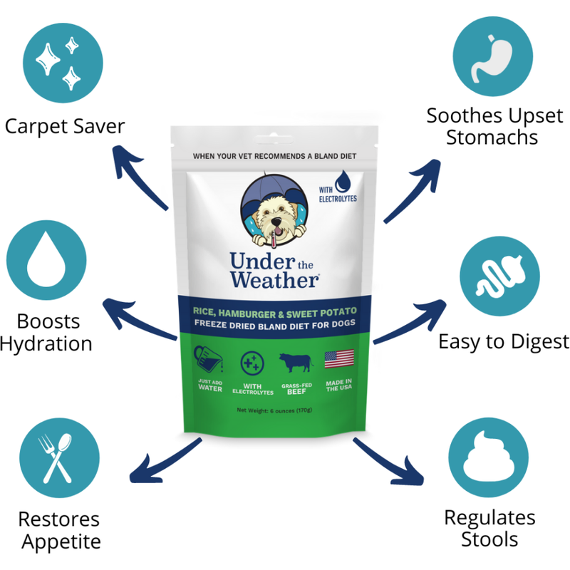 Under the Weather Bland Diet Freeze-Dried Supplemental Dog Food, Rice Hamburger & Sweet Potato, 6-oz image number null