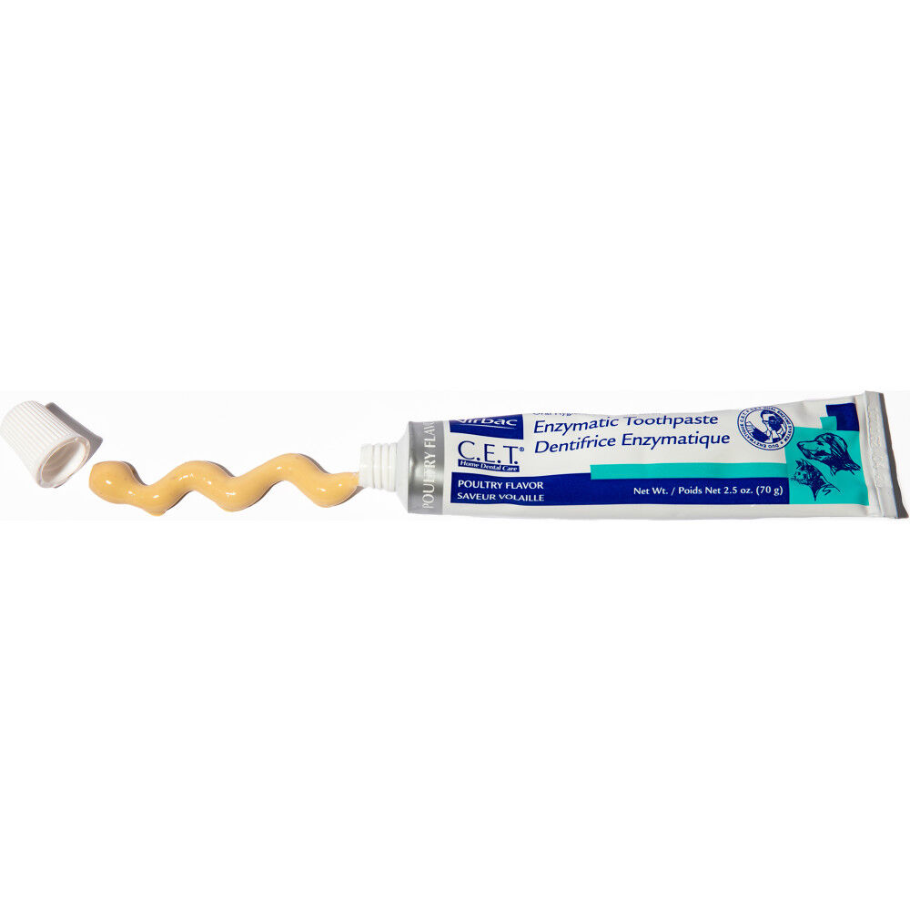Poultry flavored dog toothpaste sale