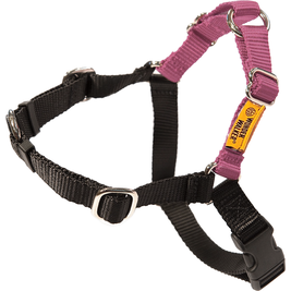 Dolan's Dog Doodads Wonder Walker Body Halter Dog Harness, Rose