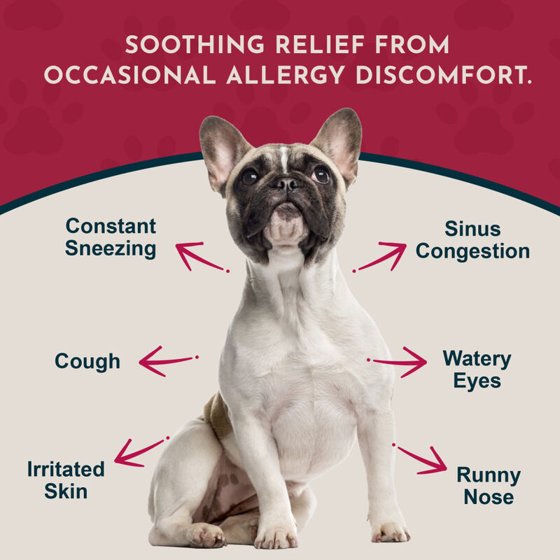 Animal Essentials Seasonal Allergy Herbal Dog & Cat Supplement, 1-oz image number null