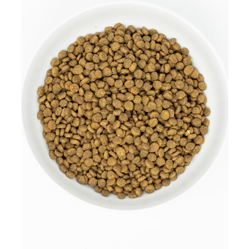Stella & Chewy's Raw Coated Dry Cat Food, Chicken image number null