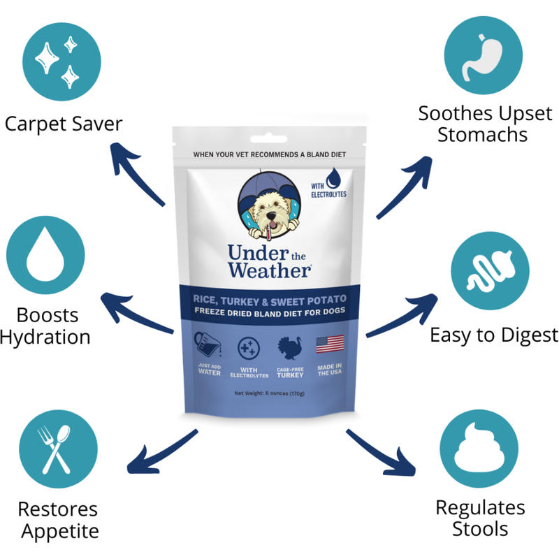 Under the Weather Bland Diet Freeze-Dried Supplemental Dog Food, Rice Turkey & Sweet Potato, 6-oz image number null