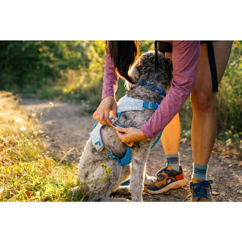 Ruffwear Swamp Cooler Dog Cooling Harness, Biolumin Blue image number null