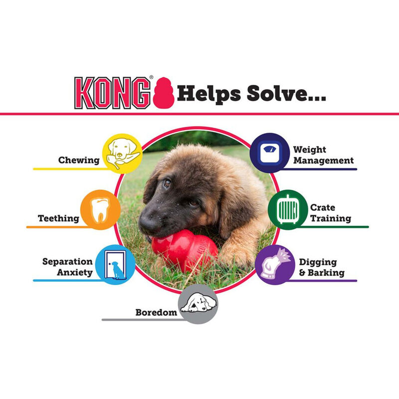 KONG Classic Rubber Dog Toy image number null