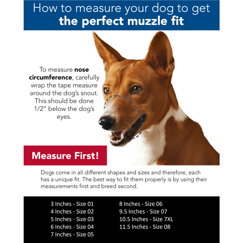 Coastal Best Fit Adjustable Mesh Dog Muzzle image number null