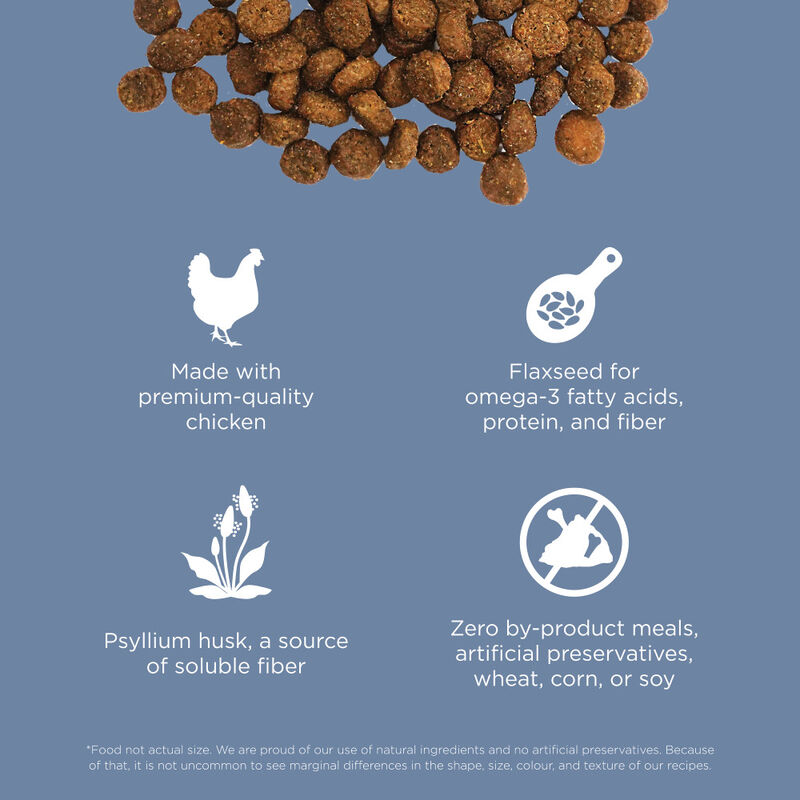 Go! Solutions Weight Management + Joint Care Grain-Free Dry Cat Food, Chicken image number null