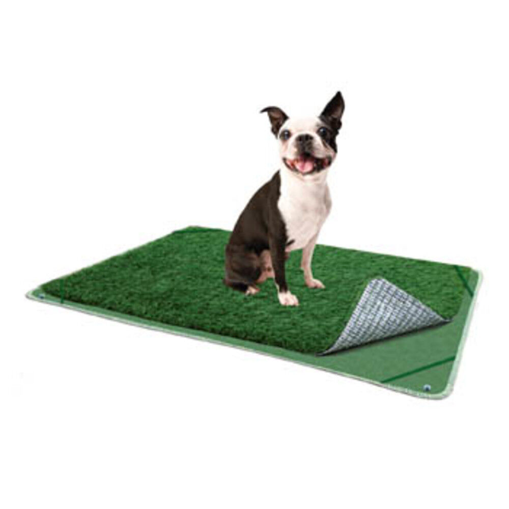 Indoor turf on sale for dogs