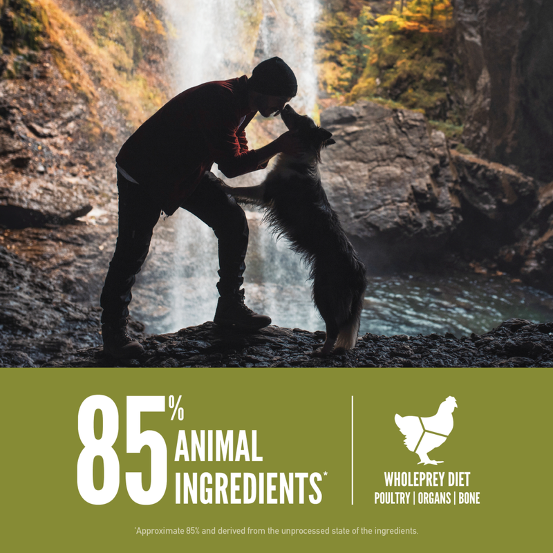 Orijen Grain-Free Dry Dog Food, Senior image number null