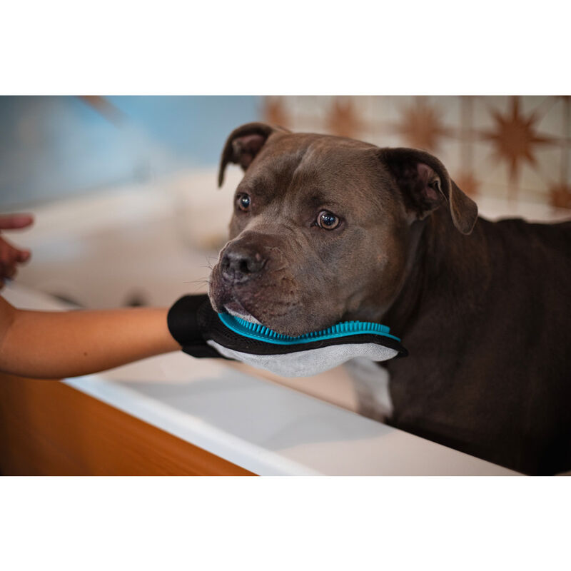Messy Mutts Silicone Pet Grooming Glove, Blue image number null