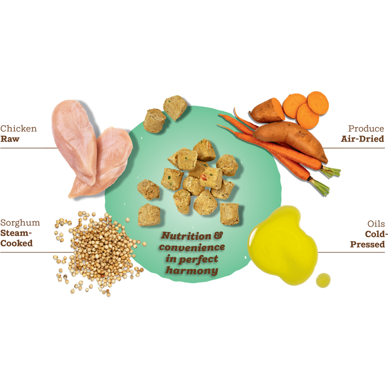 Primal Kibble in the Raw Freeze-Dried Dog Food, Chicken image number null