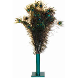 Vee Natural Peacock Feather Cat Toy