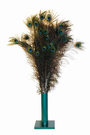 Vee Natural Peacock Feather Cat Toy