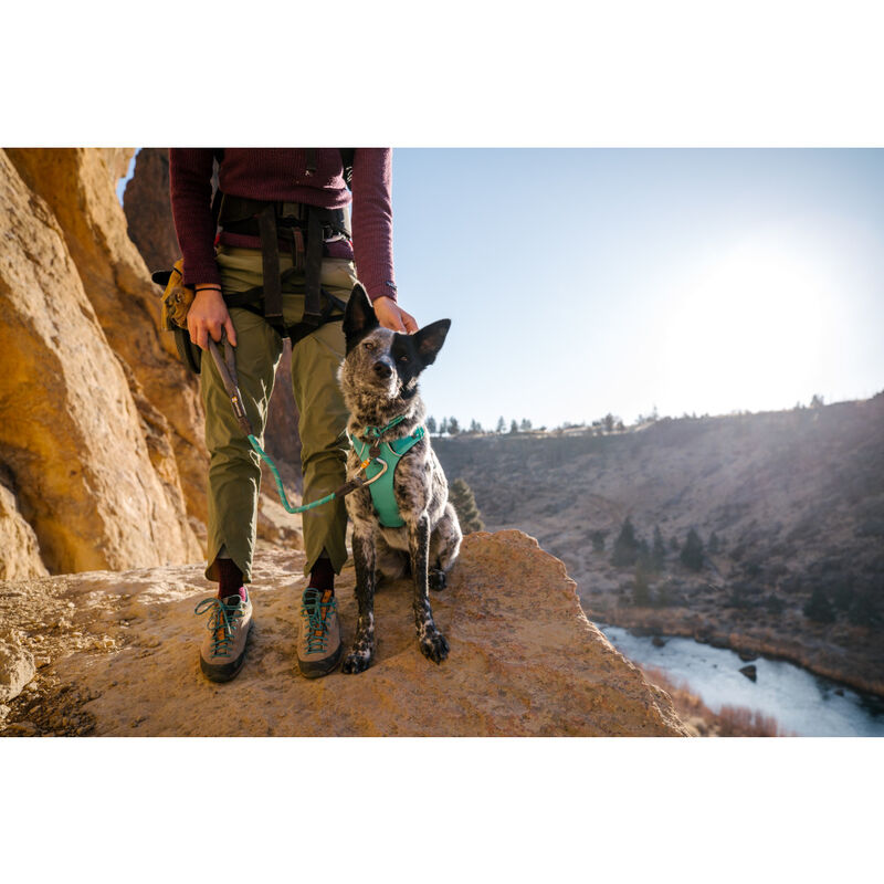Ruffwear Knot-a-Collar Dog Collar, Aurora Teal image number null