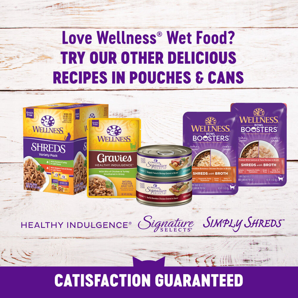 Wellness minced cat food on sale