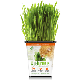 Pet Greens Original Wheatgrass